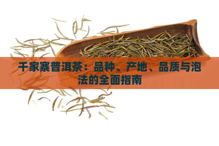 千家寨普洱茶：品种、产地、品质与泡法的全面指南