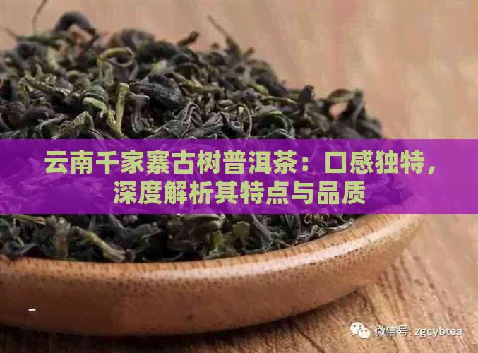 云南千家寨古树普洱茶：口感独特，深度解析其特点与品质