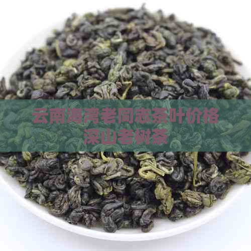 云南海湾老同志茶叶价格深山老树茶