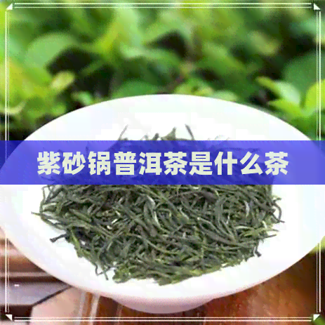 紫砂锅普洱茶是什么茶