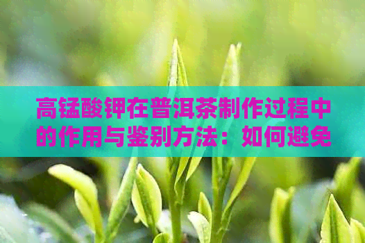 高锰酸钾在普洱茶制作过程中的作用与鉴别方法：如何避免误用？