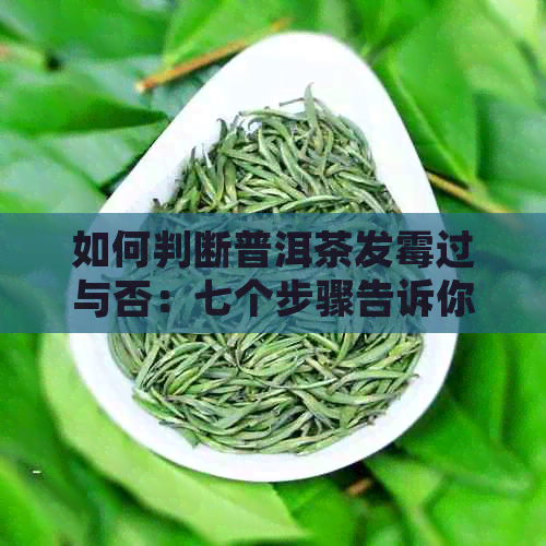 如何判断普洱茶发霉过与否：七个步骤告诉你答案