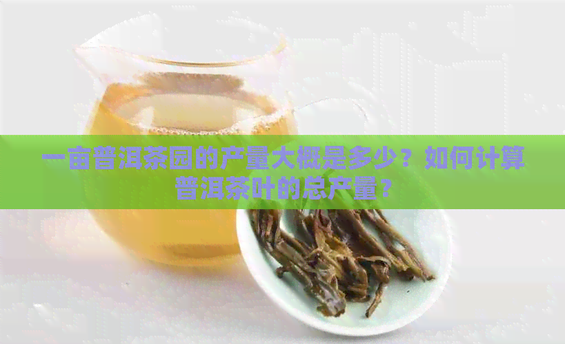 一亩普洱茶园的产量大概是多少？如何计算普洱茶叶的总产量？