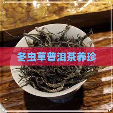 冬虫草普洱茶养珍