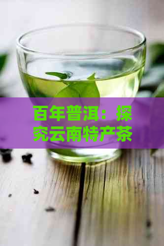 百年普洱：探究云南特产茶叶的历与文化意义