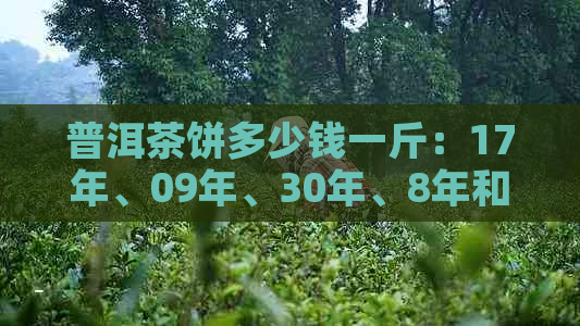 普洱茶饼多少钱一斤：17年、09年、30年、8年和2014年的行情分析