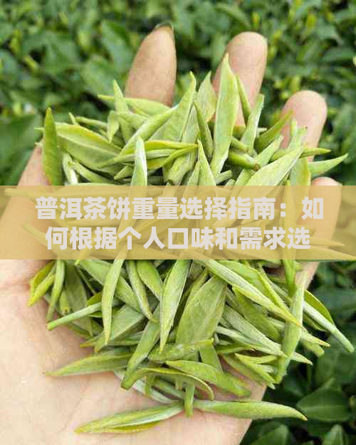 普洱茶饼重量选择指南：如何根据个人口味和需求选购合适的普洱茶饼？