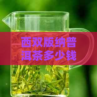 西双版纳普洱茶多少钱一斤？哪个的好？怎么挑选？