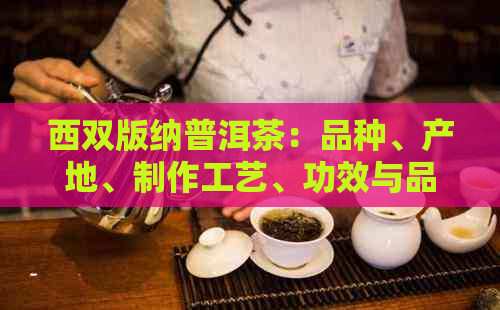 西双版纳普洱茶：品种、产地、制作工艺、功效与品鉴全解析