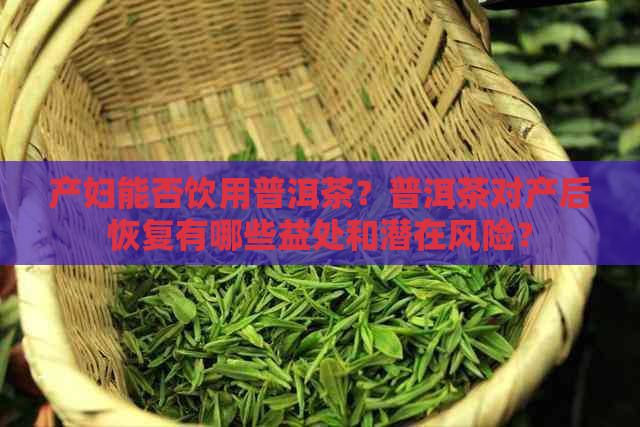 产妇能否饮用普洱茶？普洱茶对产后恢复有哪些益处和潜在风险？