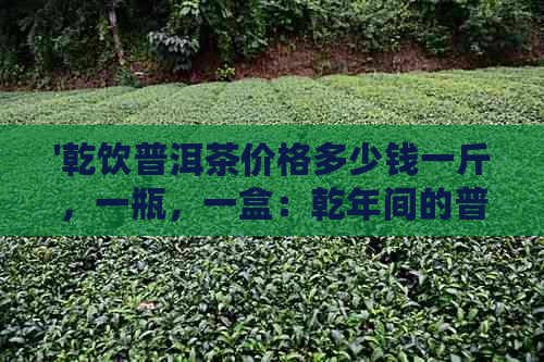 '乾饮普洱茶价格多少钱一斤，一瓶，一盒：乾年间的普洱茶详解'