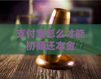 支付宝怎么才能协商还本金