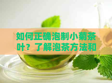 如何正确泡制小菊茶叶？了解泡茶方法和技巧，让小菊茶口感更佳