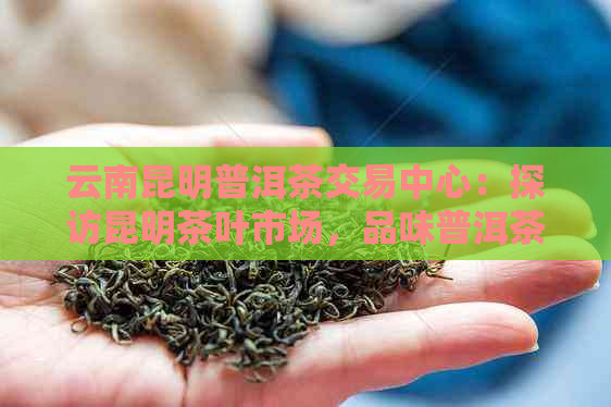 云南昆明普洱茶交易中心：探访昆明茶叶市场，品味普洱茶文化