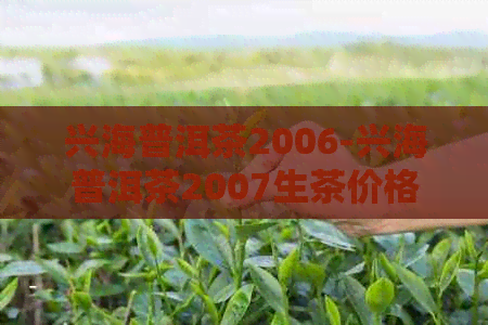 兴海普洱茶2006-兴海普洱茶2007生茶价格表