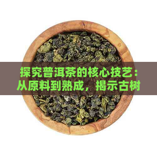 探究普洱茶的核心技艺：从原料到熟成，揭示古树茶的魅力秘密