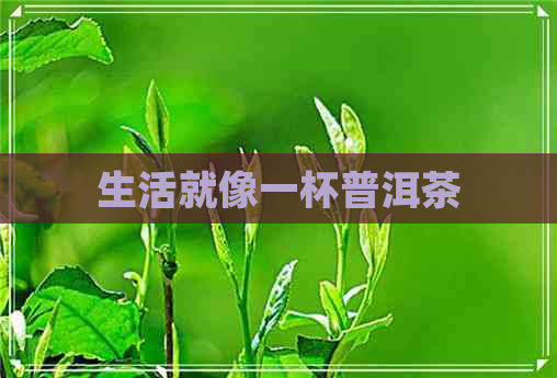 生活就像一杯普洱茶