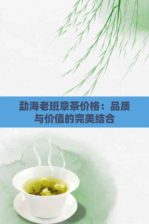 勐海老班章茶价格：品质与价值的完美结合