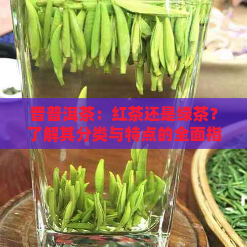 晋普洱茶：红茶还是绿茶？了解其分类与特点的全面指南