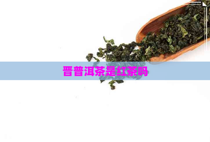 晋普洱茶是红茶吗