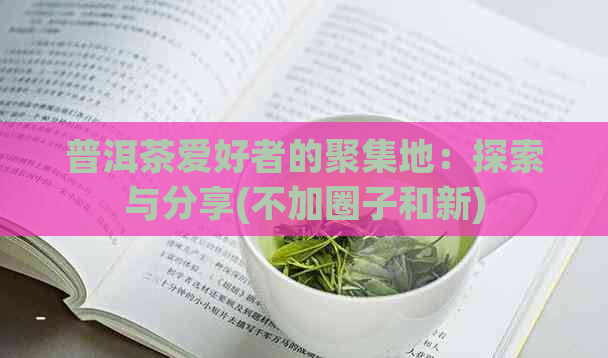 普洱茶爱好者的聚集地：探索与分享(不加圈子和新)