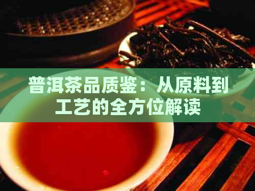 普洱茶品质鉴：从原料到工艺的全方位解读