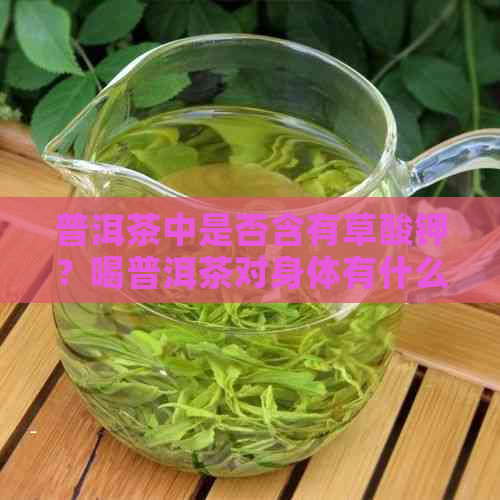 普洱茶中是否含有草酸钾？喝普洱茶对身体有什么影响？