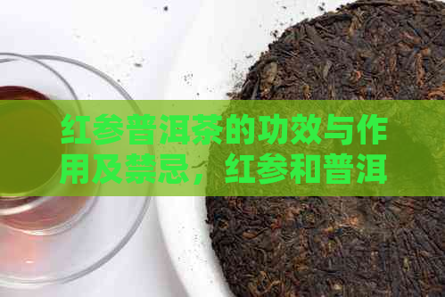 红参普洱茶的功效与作用及禁忌，红参和普洱茶能一起喝吗？