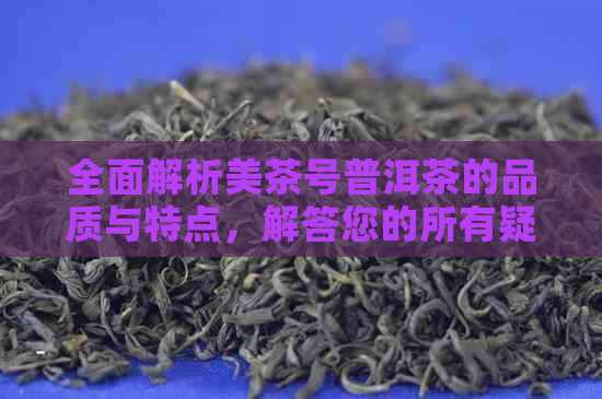 全面解析美茶号普洱茶的品质与特点，解答您的所有疑问