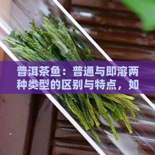 普洱茶鱼：普通与即溶两种类型的区别与特点，如何选择与饮用？