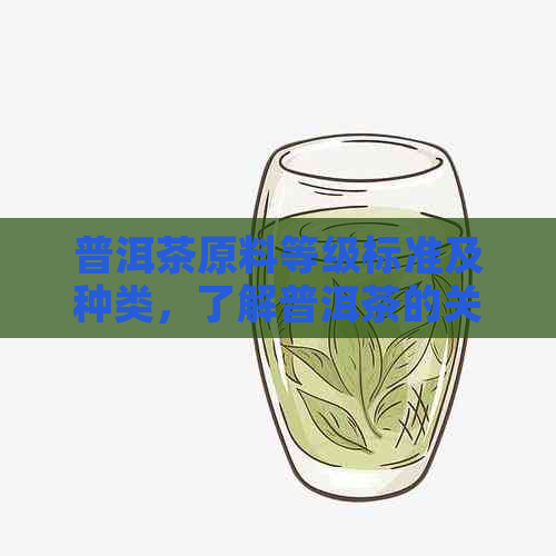 普洱茶原料等级标准及种类，了解普洱茶的关键知识点。