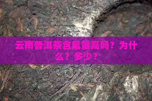 云南普洱茶含氟量高吗？为什么？多少？