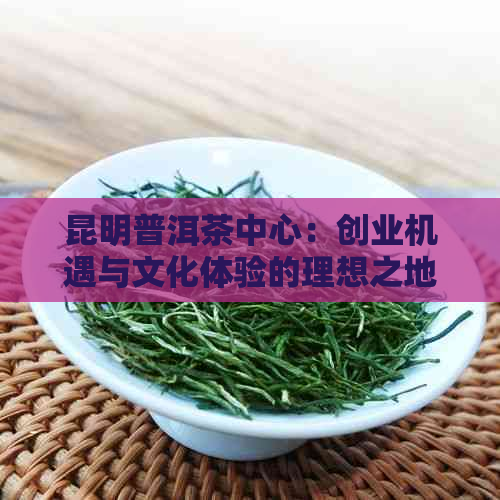 昆明普洱茶中心：创业机遇与文化体验的理想之地