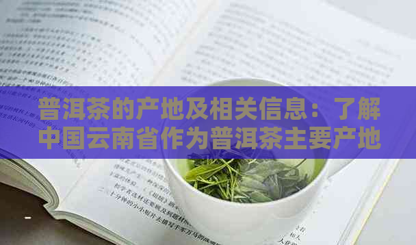 普洱茶的产地及相关信息：了解中国云南省作为普洱茶主要产地的地位