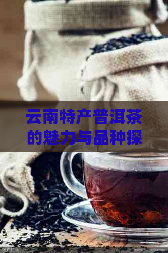 云南特产普洱茶的魅力与品种探究