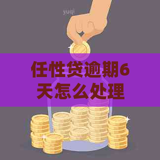 任性贷逾期6天怎么处理