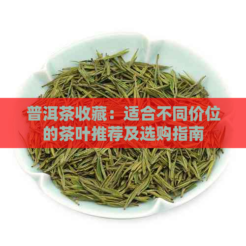 普洱茶收藏：适合不同价位的茶叶推荐及选购指南