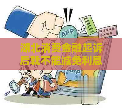 湖北消费金融起诉后就不能减免利息啦吗