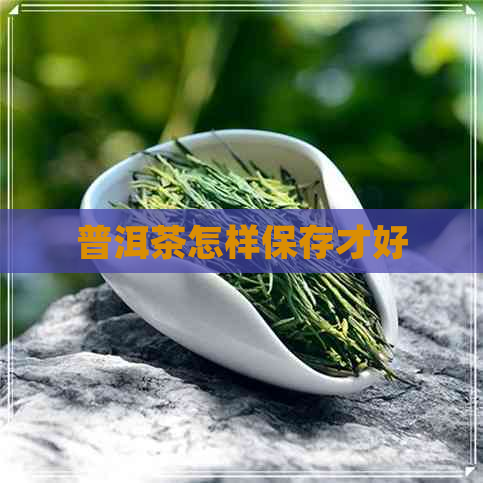 普洱茶怎样保存才好