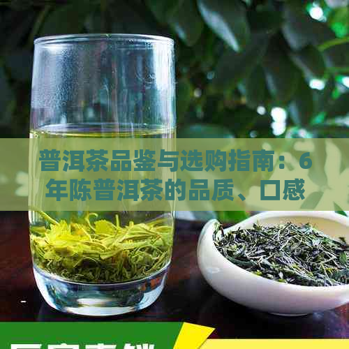 普洱茶品鉴与选购指南：6年陈普洱茶的品质、口感及适合搭配的食物