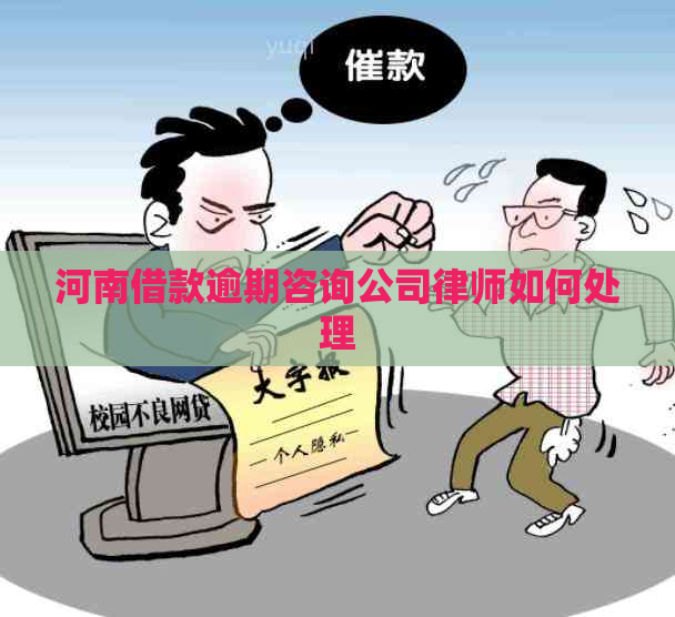 河南借款逾期咨询公司律师如何处理