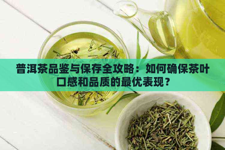 普洱茶品鉴与保存全攻略：如何确保茶叶口感和品质的更优表现？