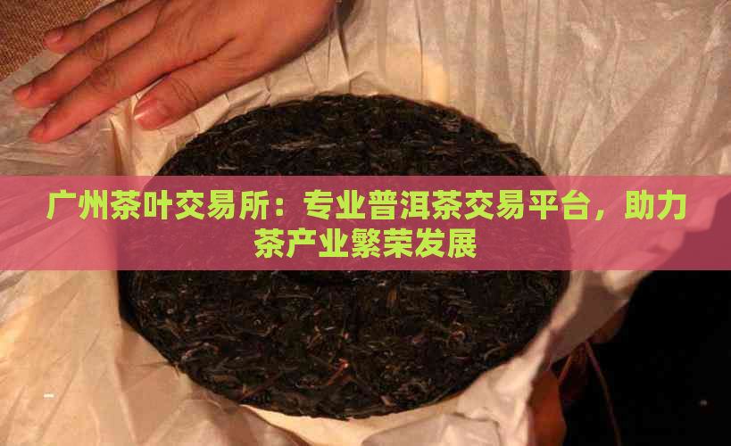 广州茶叶交易所：专业普洱茶交易平台，助力茶产业繁荣发展