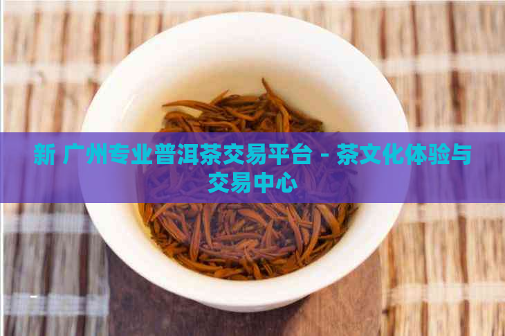 新 广州专业普洱茶交易平台 - 茶文化体验与交易中心