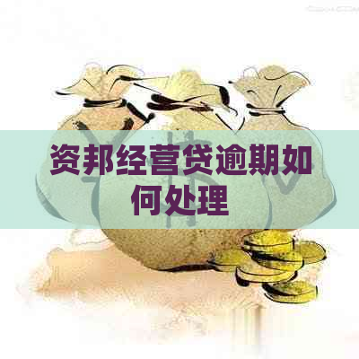 资邦经营贷逾期如何处理