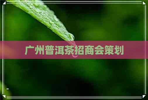 广州普洱茶招商会策划