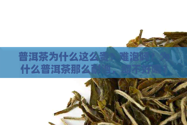 普洱茶为什么这么贵？难泡吗？为什么普洱茶那么耐泡，却不好喝？