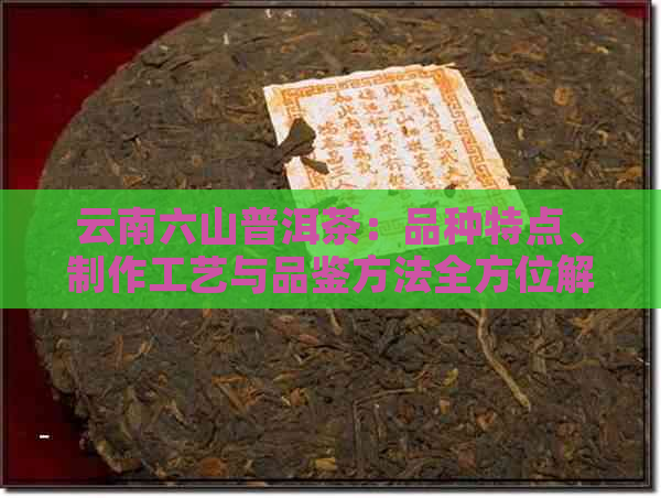 云南六山普洱茶：品种特点、制作工艺与品鉴方法全方位解析