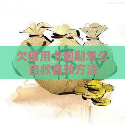 欠信用卡逾期怎么自救有效方法