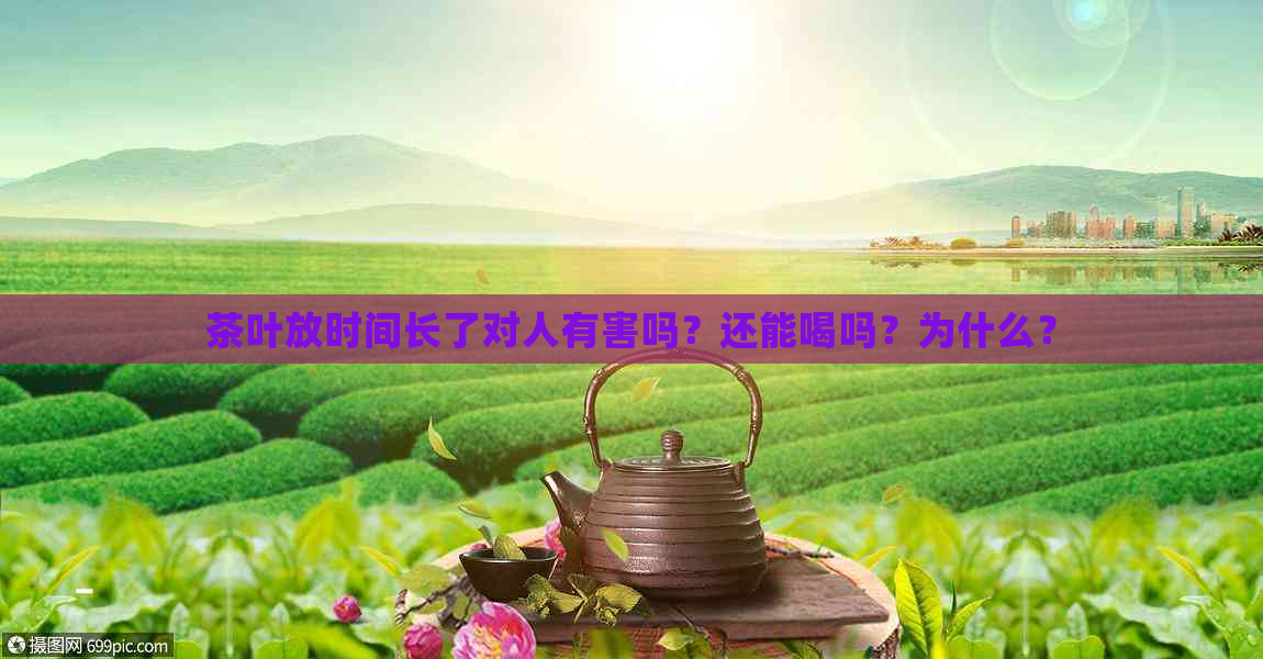 茶叶放时间长了对人有害吗？还能喝吗？为什么？